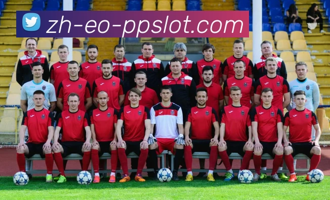 奥林匹斯之门官网平台生态图